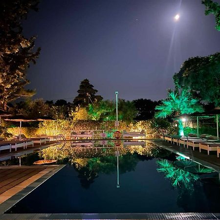 Trees Art Hotel 伊利索斯 外观 照片