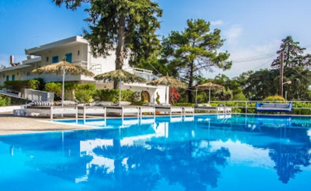 Trees Art Hotel 伊利索斯 外观 照片