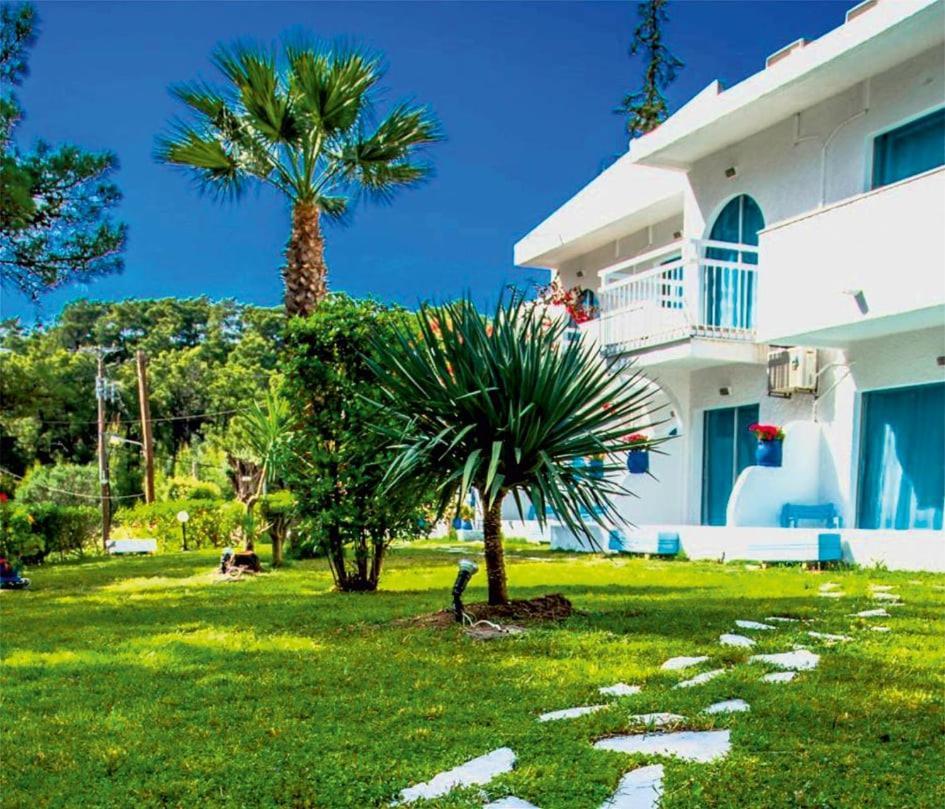 Trees Art Hotel 伊利索斯 外观 照片