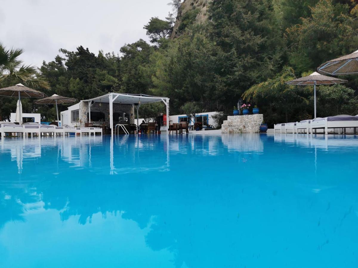 Trees Art Hotel 伊利索斯 外观 照片