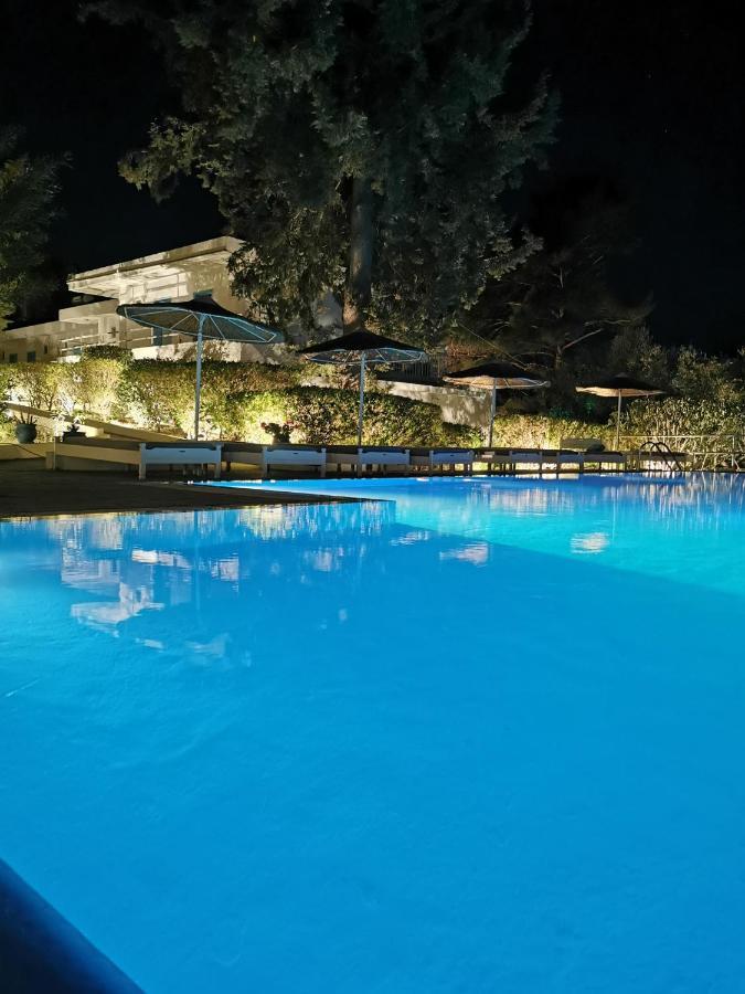 Trees Art Hotel 伊利索斯 外观 照片