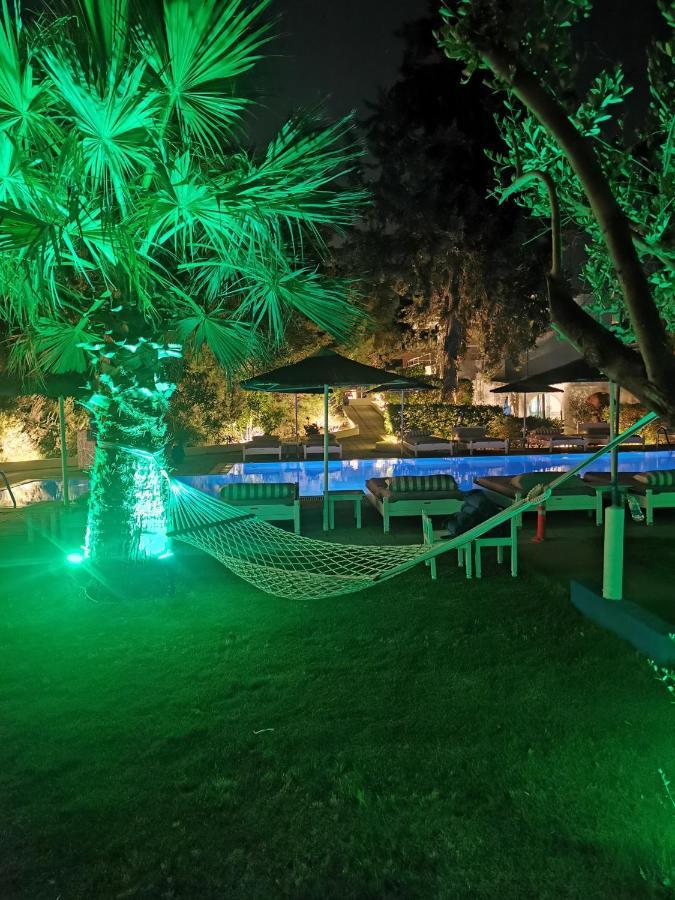 Trees Art Hotel 伊利索斯 外观 照片