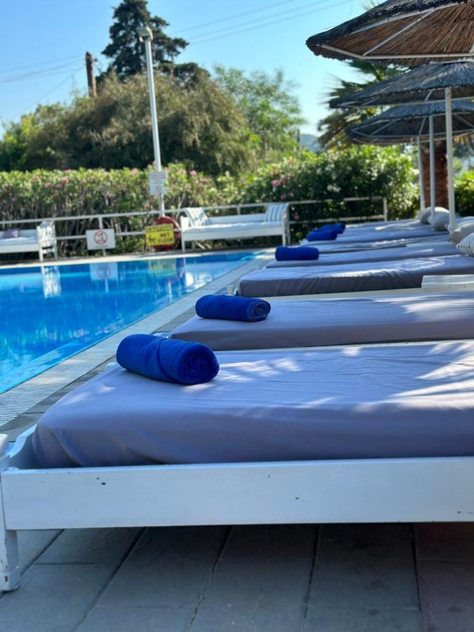 Trees Art Hotel 伊利索斯 外观 照片
